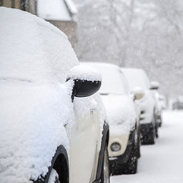 Seasonal Maintenance